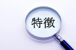 ラミネートベニアの種類を解説！それぞれの特徴を理解しよう